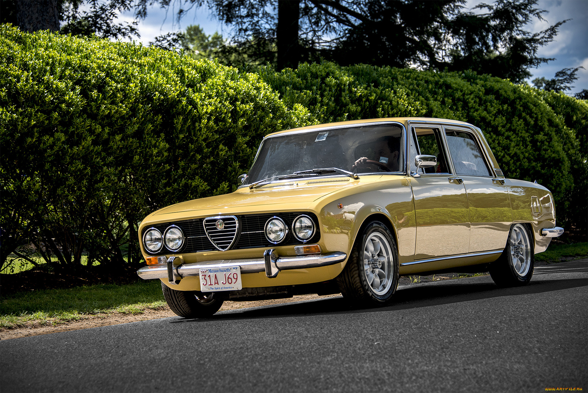 alfa romeo 2000 berlina, , alfa romeo, , , 
